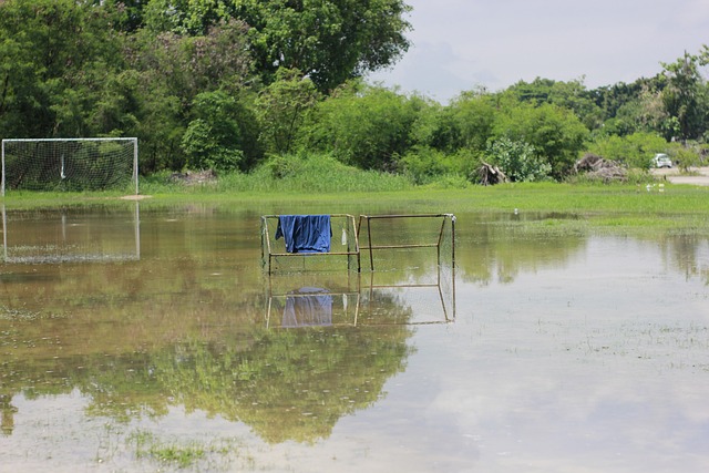 而科爾的理 而科爾的理