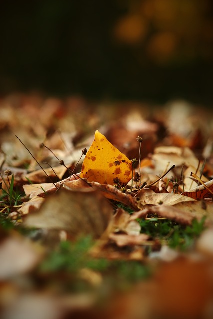 随着快船进 随着快船进