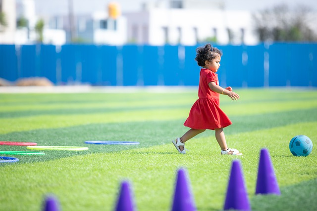 国际投资的 国际投资的