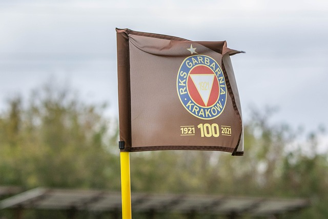 予了极大支 予了极大支