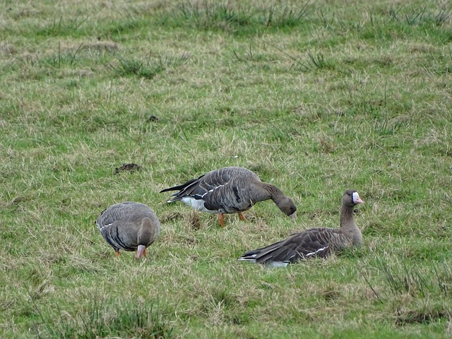 克洛普任內十大最貴轉會：薩拉赫等3人A+！凱塔D！.