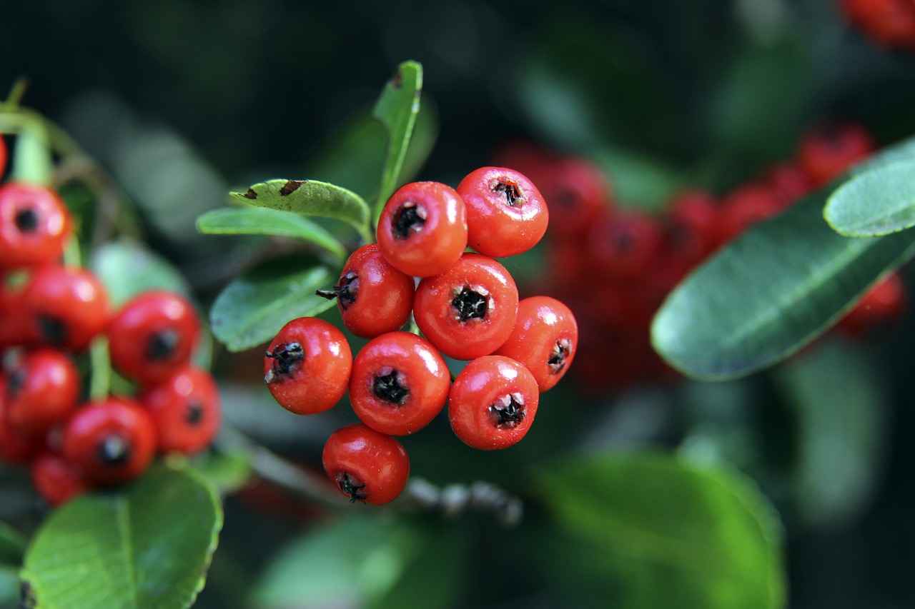 44岁退钱哥圆梦！中冠替补出场4分钟，身后有人偷笑：已苦等40年.