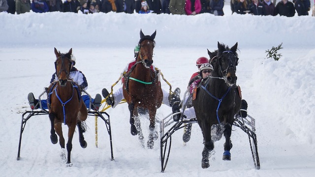 足球——意甲：那不勒斯胜威尼斯.