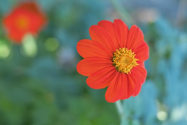 道曾将韋世 道曾将韋世